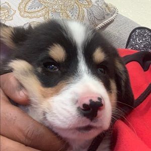 Meet your Posher, Mesfin